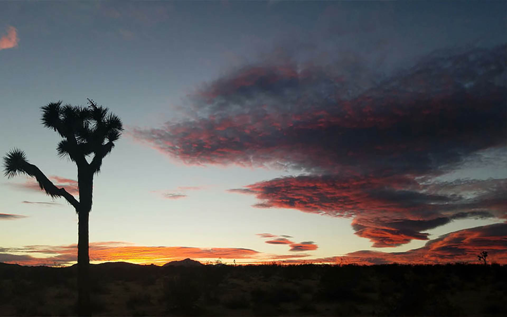 Wild Moon Mesa