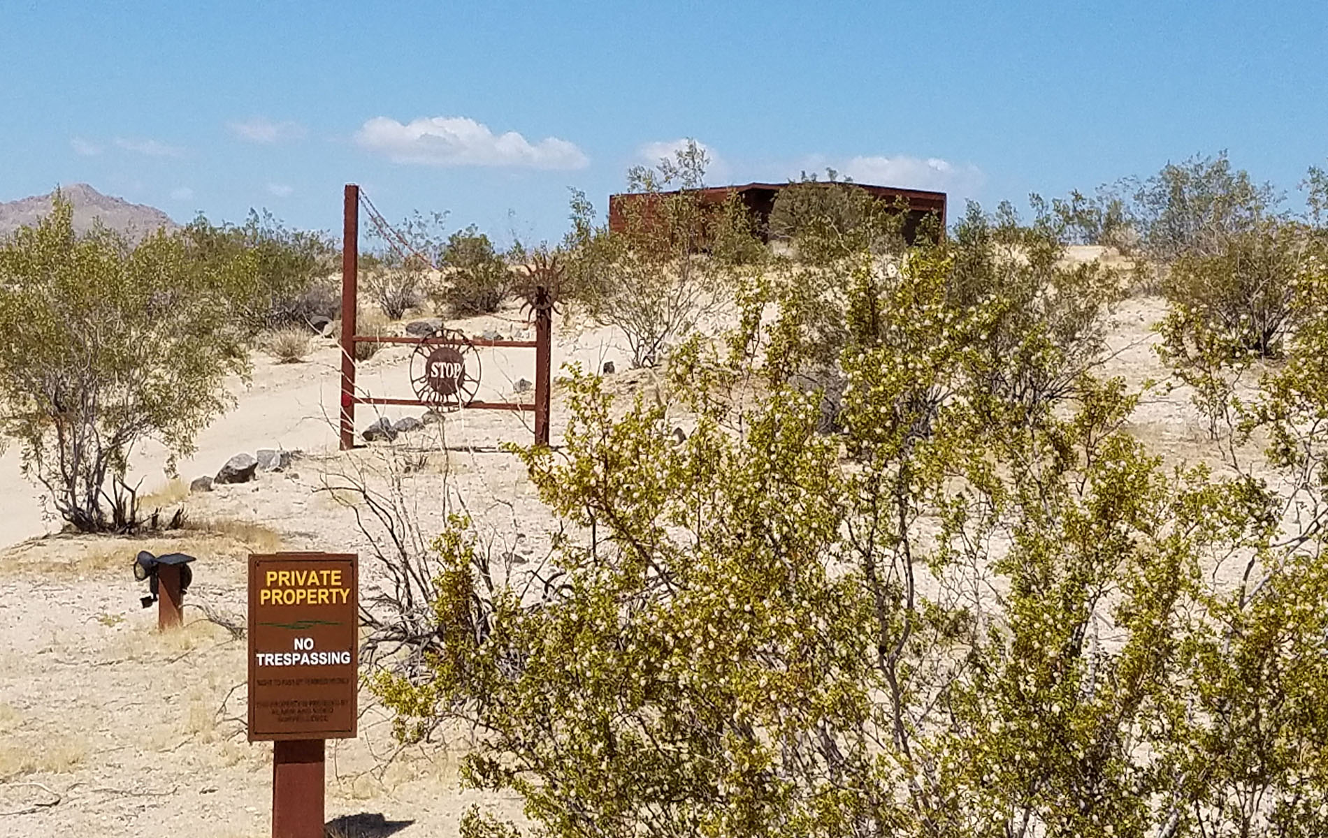 Wild Moon Mesa