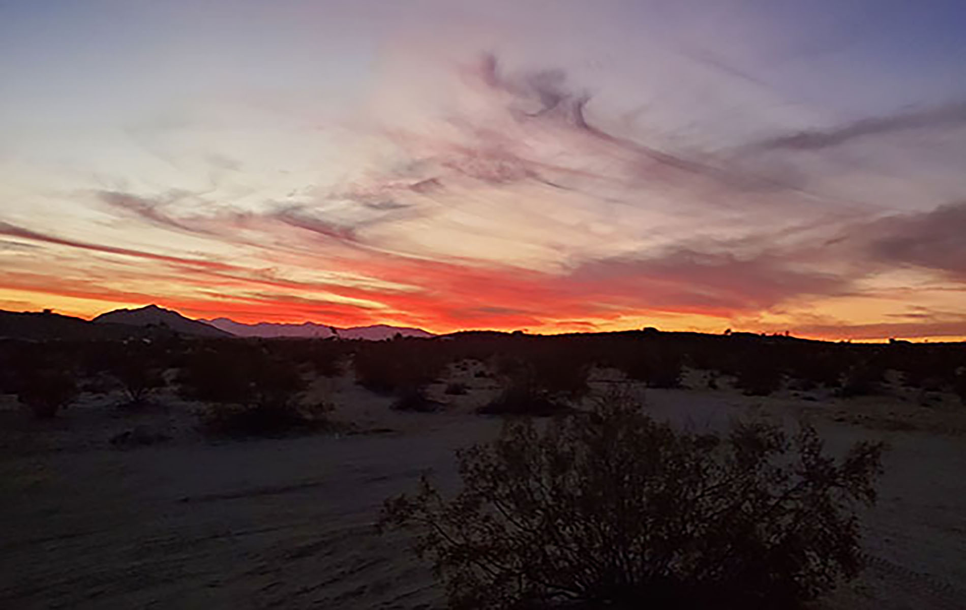 Wild Moon Mesa