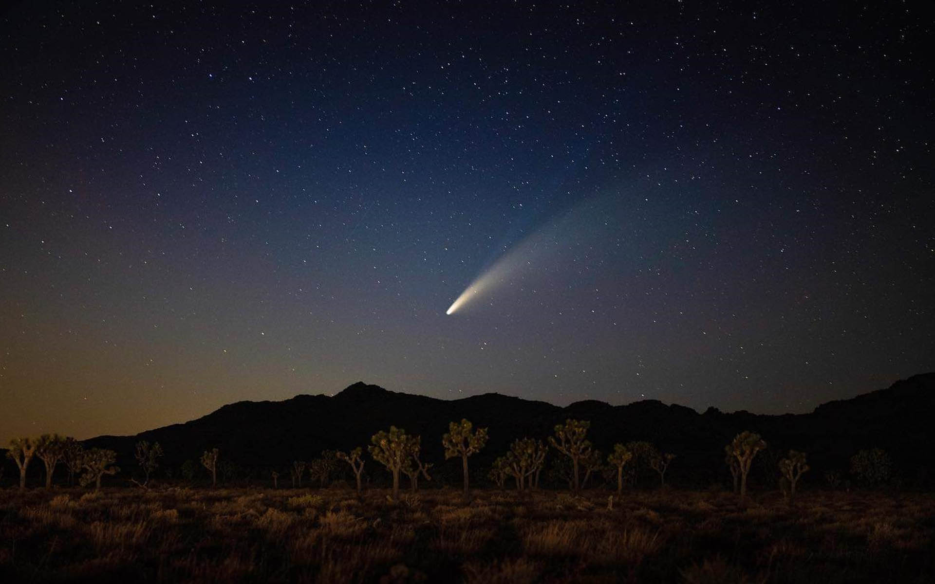 Wild Moon Mesa